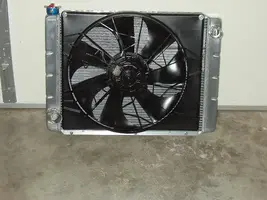 fan3.webp
