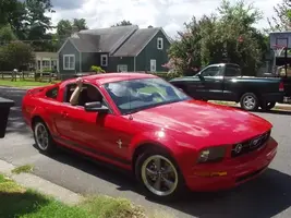 DansStang.webp