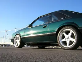 NewStang5.webp