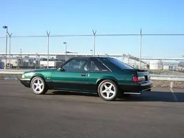 NewStang.webp