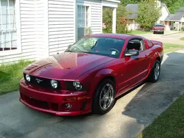Picture-009.webp
