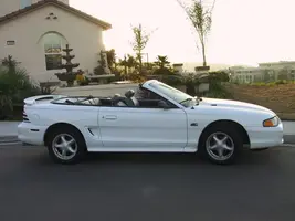 mustangsalepictures005.webp