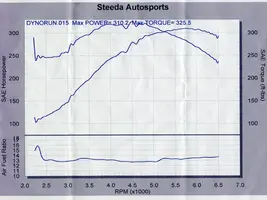 Dyno2.webp