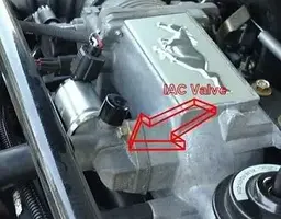 iacpicture.webp