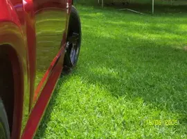 Saleens011.webp