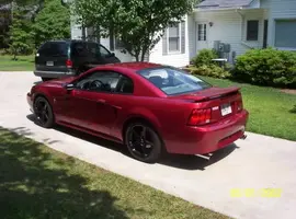 Saleens008.webp