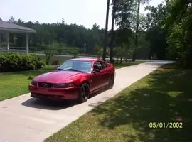 Saleens007.webp