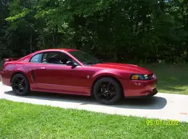 Saleens006.webp