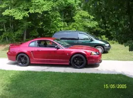 Saleens015.webp