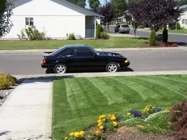 CarPictures002.webp