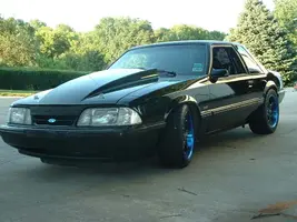 stang2.webp