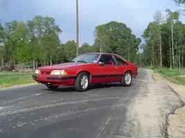 Picture008.webp