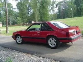 Picture017.webp