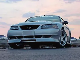 Stang4.webp