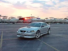 Stang8.webp