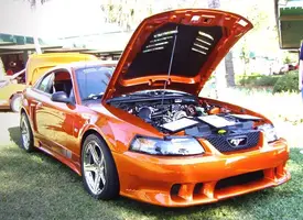 saleen02.webp