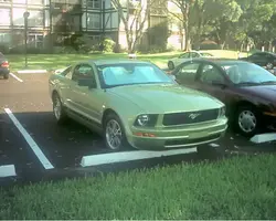 fnkyscotty-Stang-side-view.webp