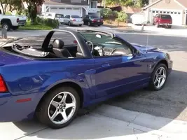 Cobra6.webp
