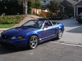 Cobra2.webp
