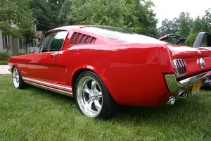 backside38xo.webp