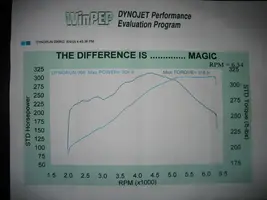 mustangtuned.webp
