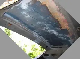 TheResurectionRoofFix01.webp