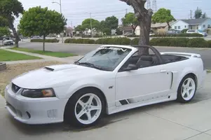 mustang_after.webp