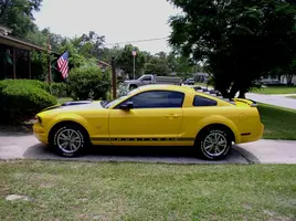 P5160083-800.webp