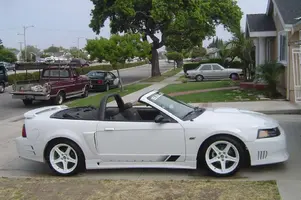 mustang_after_2.webp