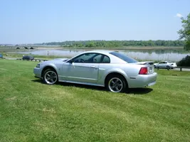 pic.webp