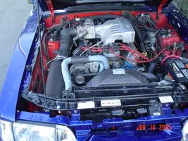 MyMustang013.webp