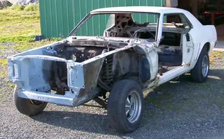 Stang-FL.webp