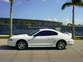 Picture024.webp