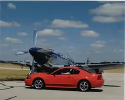 StangStang1.webp