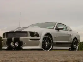 LNR001.webp