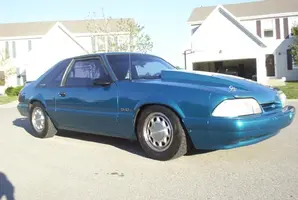 stang1.webp
