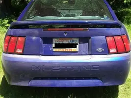 100_1077.webp