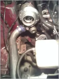 holsetshot.webp