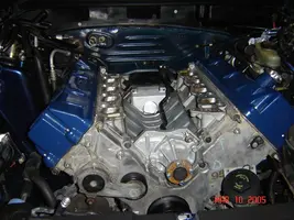 newenginein.webp