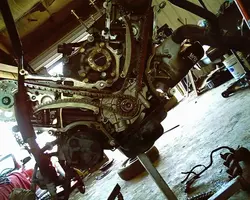 mustang020.webp