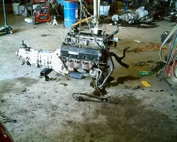 mustang005.webp