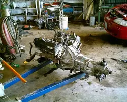 mustang002.webp