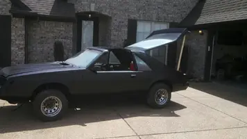 mustang paint.webp