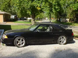 Mustang.webp