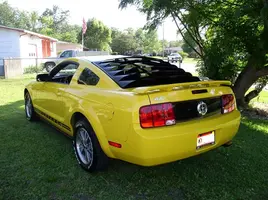 P5130085b-800.webp