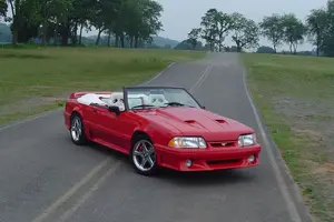 stang.webp
