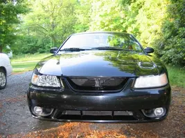 IMG_1422-vi.webp