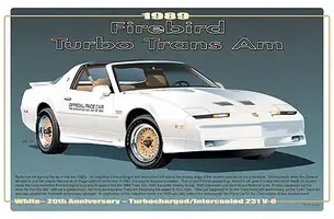 1989_Pontiac_Firebird_Turbo_Trans_Am-EW0024-medium.webp