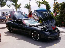 43630033.webp