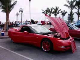 43630025.webp